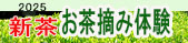 お茶摘み体験