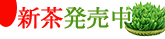 新茶